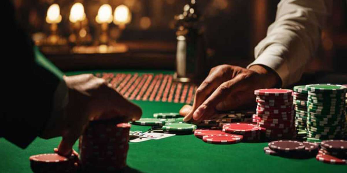 Top-Notch Gambling Site Insights