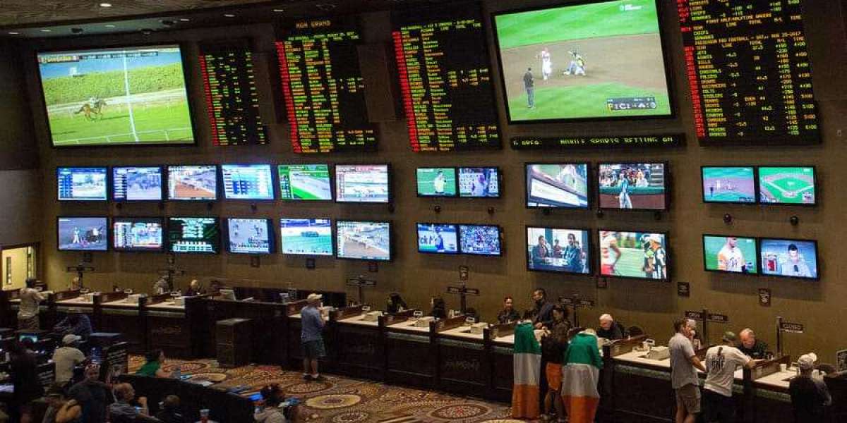 Explore Korean Sports Betting Site
